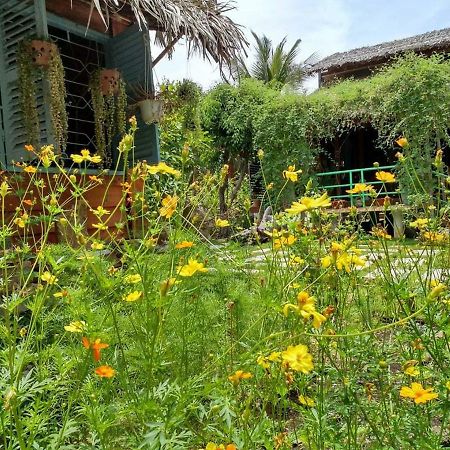 Bach Cuc Homestay Long Hải Ngoại thất bức ảnh