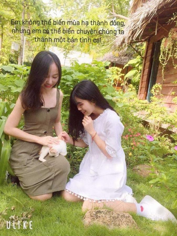 Bach Cuc Homestay Long Hải Ngoại thất bức ảnh
